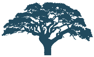 Elm Tree logo